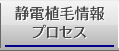 静電植毛情報プロセス