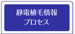 静電植毛情報プロセス